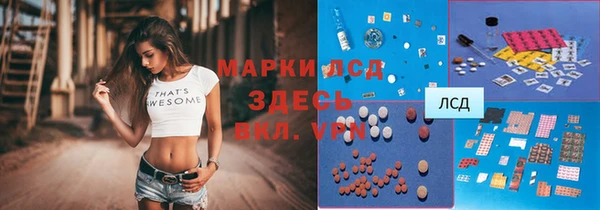 прущие грибы Алексин