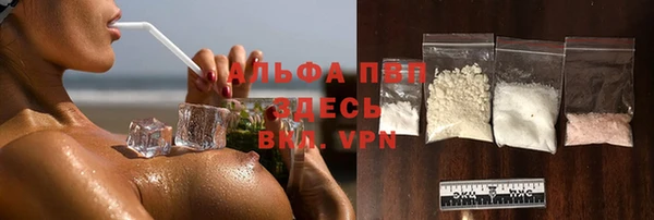 крисы Алзамай