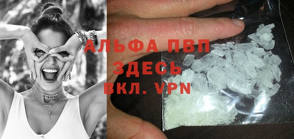 крисы Алзамай