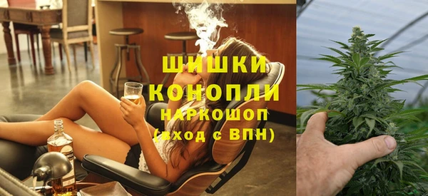крисы Алзамай