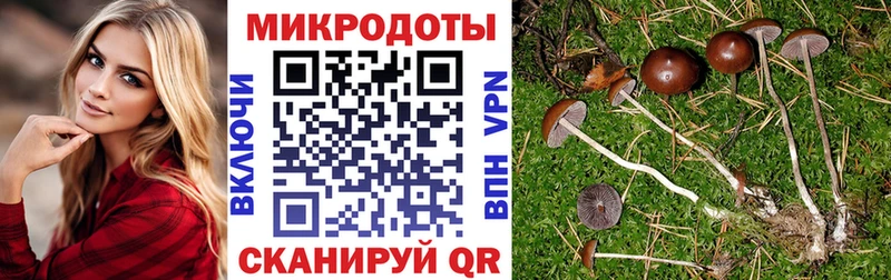 Псилоцибиновые грибы мицелий Кинель