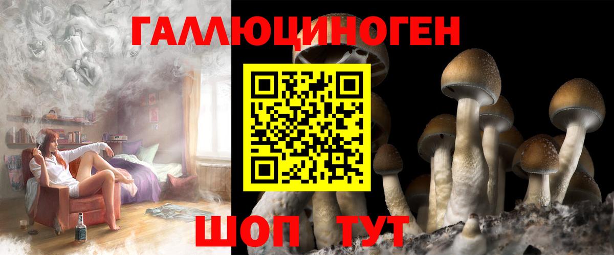 Псилоцибиновые грибы прущие грибы  Вход с VPN  Галлюциногенные грибы Psilocybine cubensis  Кинель 