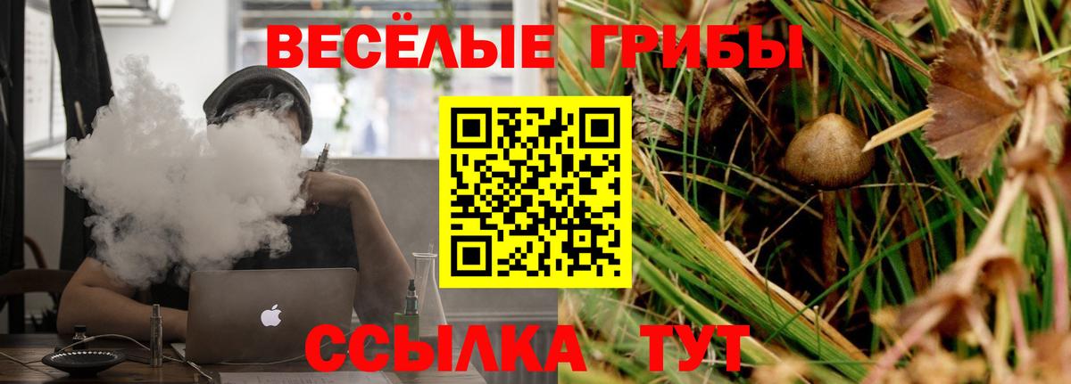 Галлюциногенные грибы мицелий Кинель